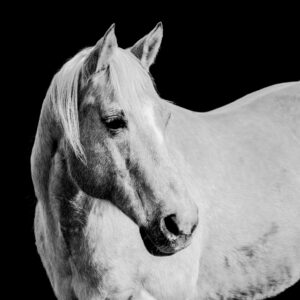 Grace - Premium Metal Wall Art Print