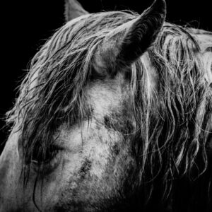 Hard Days Work - Premium Metal Wall Art Print