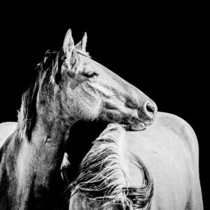 Lean On Me - Premium Metal Wall Art Print