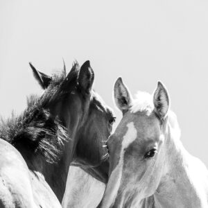 Never Grow Up - Premium Metal Wall Art Print