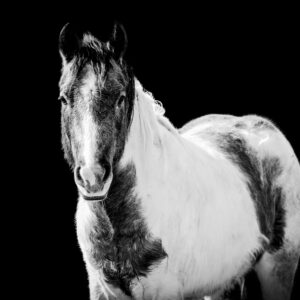 Paint - Premium Metal Wall Art Print