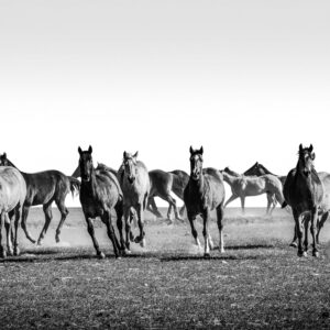 Rolling Thunder - Premium Metal Wall Art Print