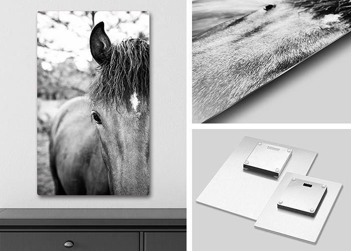 Metal Prints