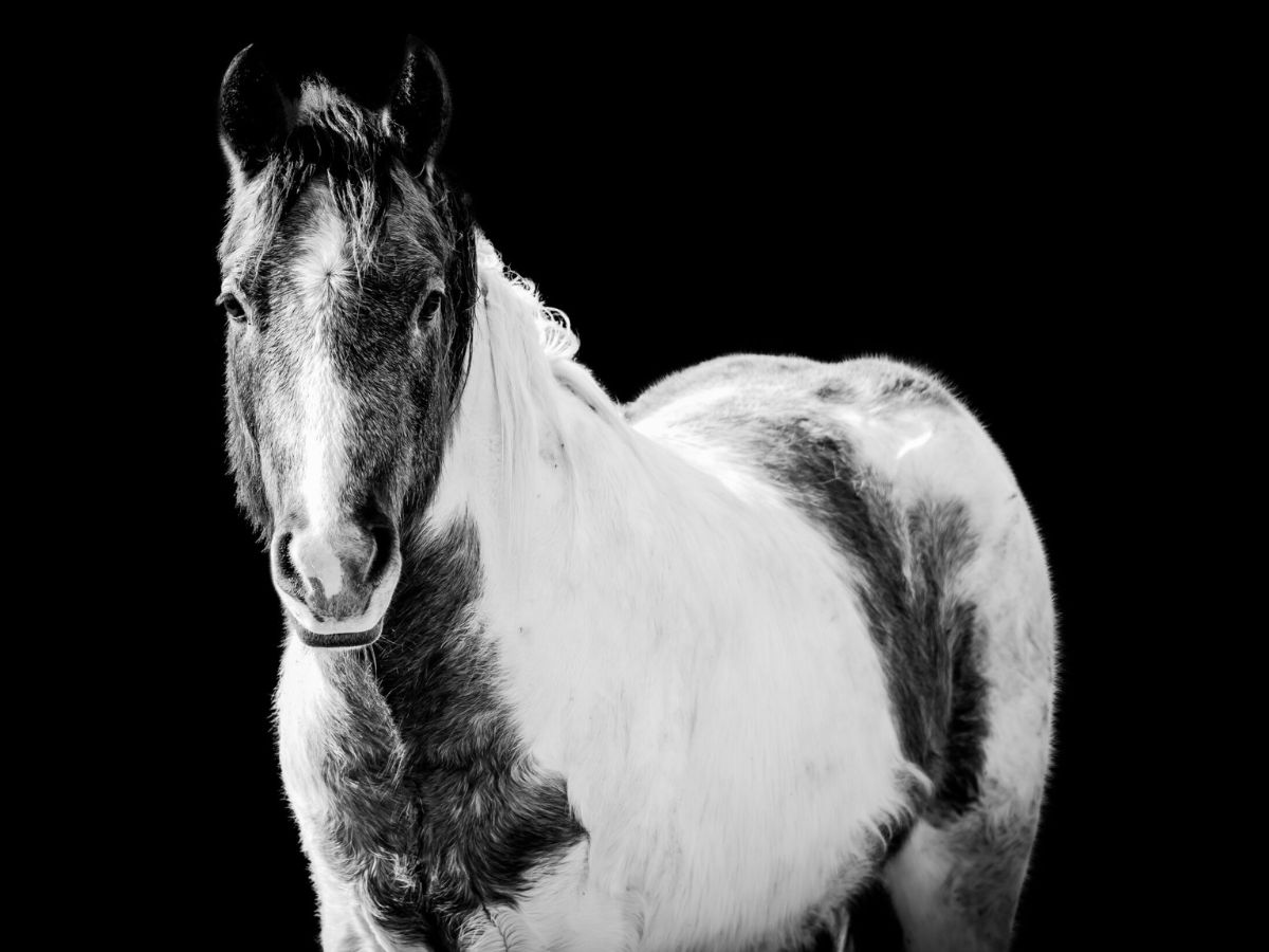 Paint (11x14in) - Premium Metal Wall Art Print (50% Off!) - Image 4