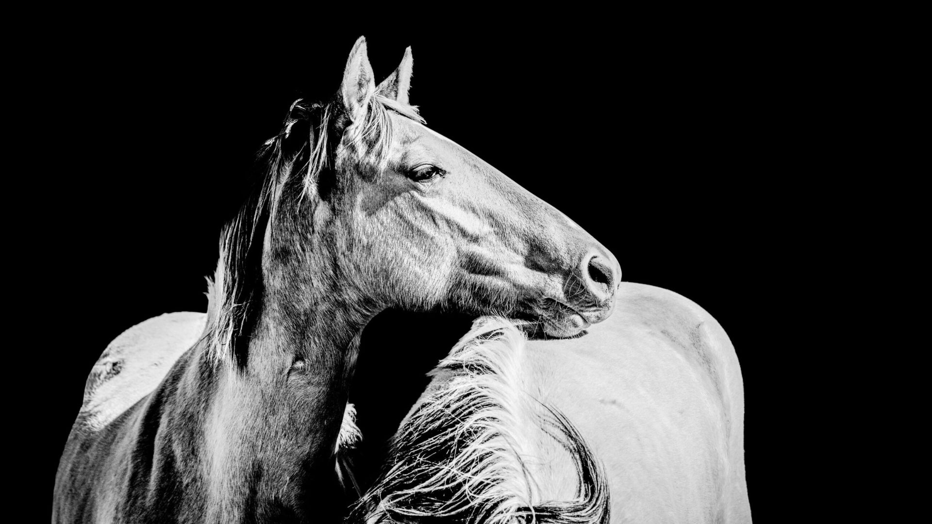 Lean On Me (8x10in and 11x14in) - Premium Metal Wall Art Print (50% Off!) - Image 4