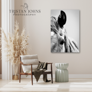Bliss - Premium Metal Wall Art Print (FLASH SALE 30% Off!)