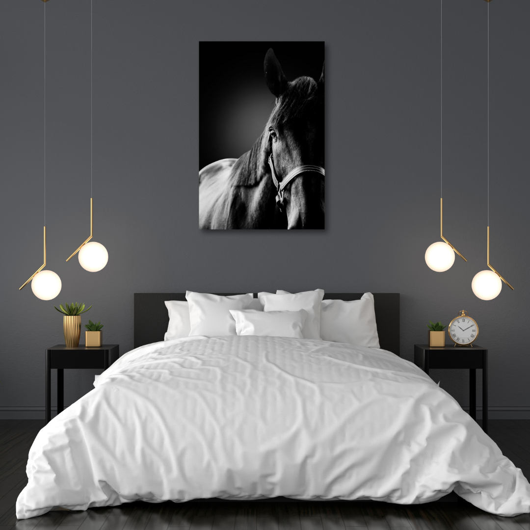 Bridle I (11x14in) - Premium Metal Wall Art Print (50% Off!)