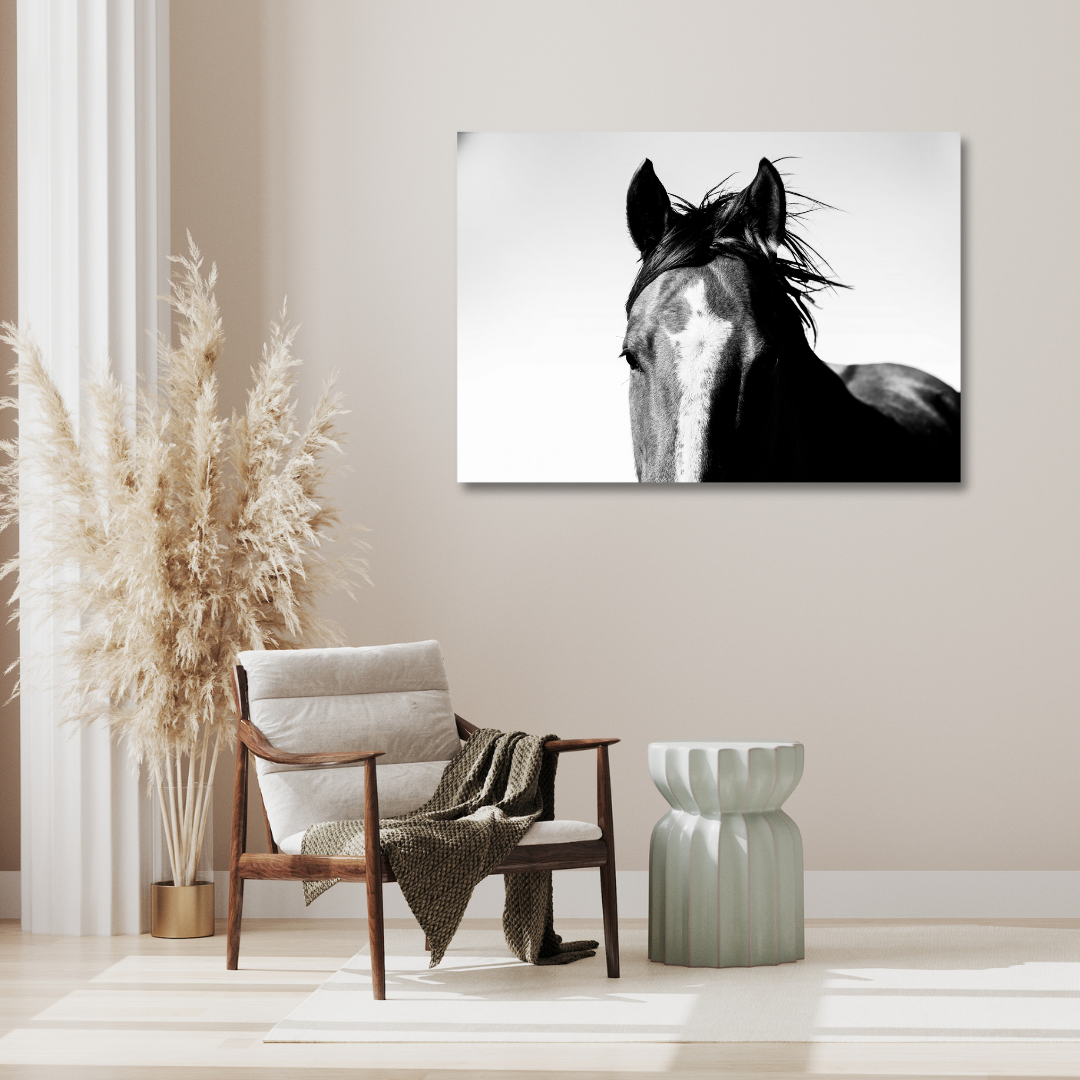 Enchanted (8x10in) - Premium Metal Wall Art Print (50% Off!)