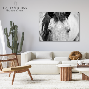 Everlong - Premium Metal Wall Art Print (FLASH SALE 30% Off!)