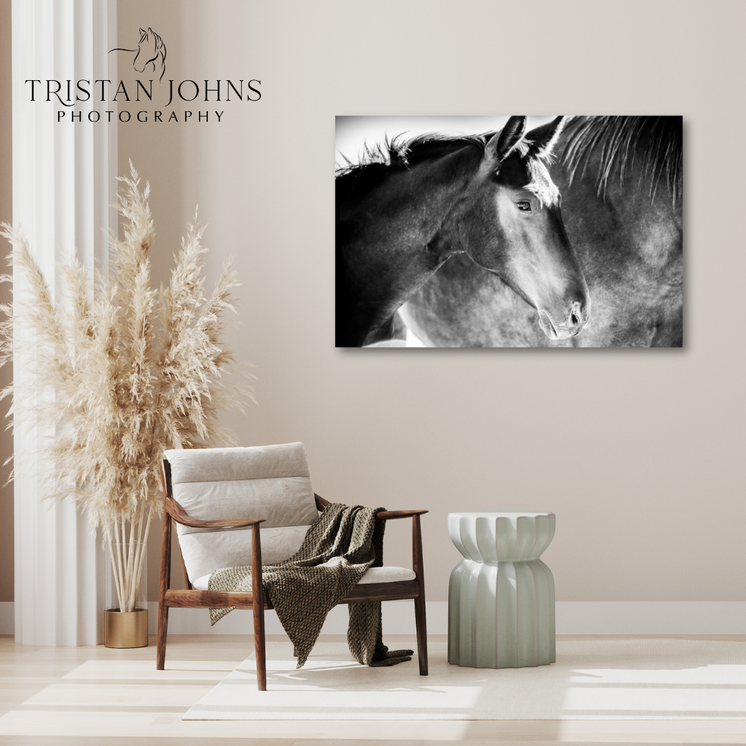 Innocence (8x10in and 11x14in) - Premium Metal Wall Art Print (50% Off!)