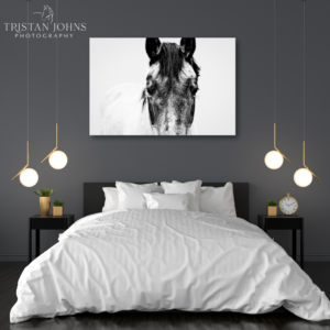 Mastermind - Premium Metal Wall Art Print (FLASH SALE 30% Off!)