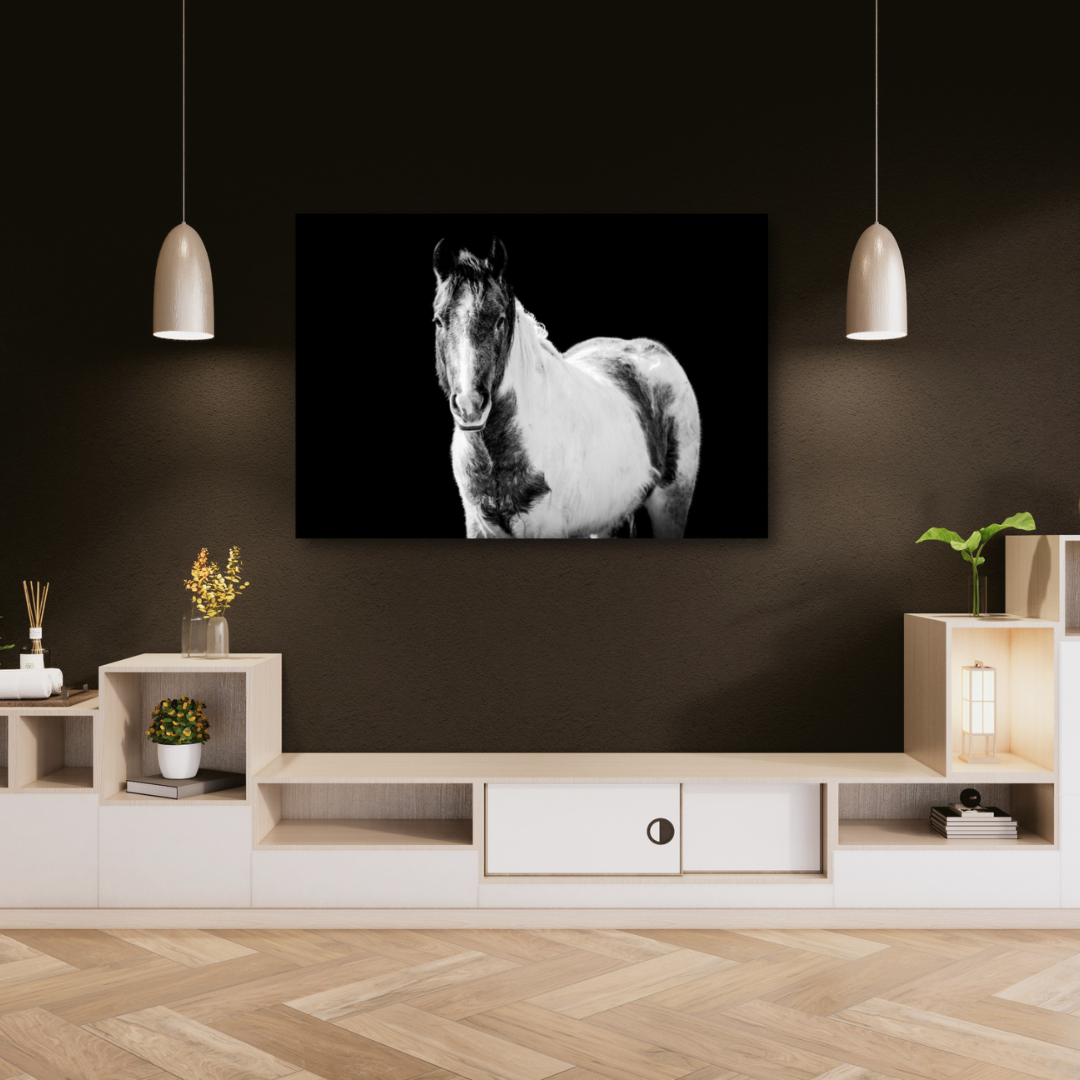 Paint (11x14in) - Premium Metal Wall Art Print (50% Off!)