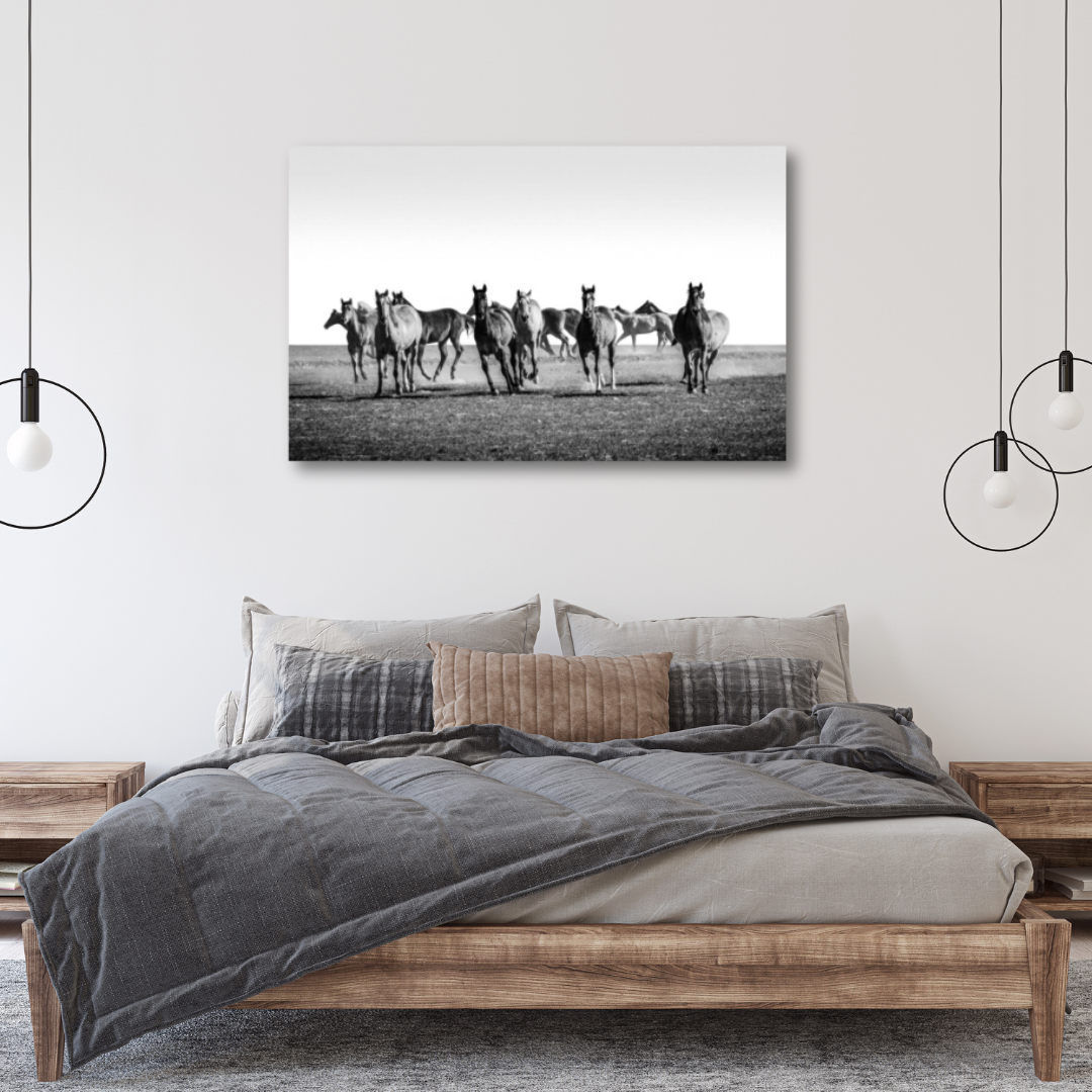 Rolling Thunder (16x24in) - Premium Metal Wall Art Print (50% Off!)