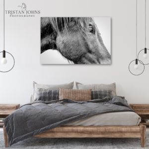 Timeless - Premium Metal Wall Art Print (FLASH SALE 30% Off!)