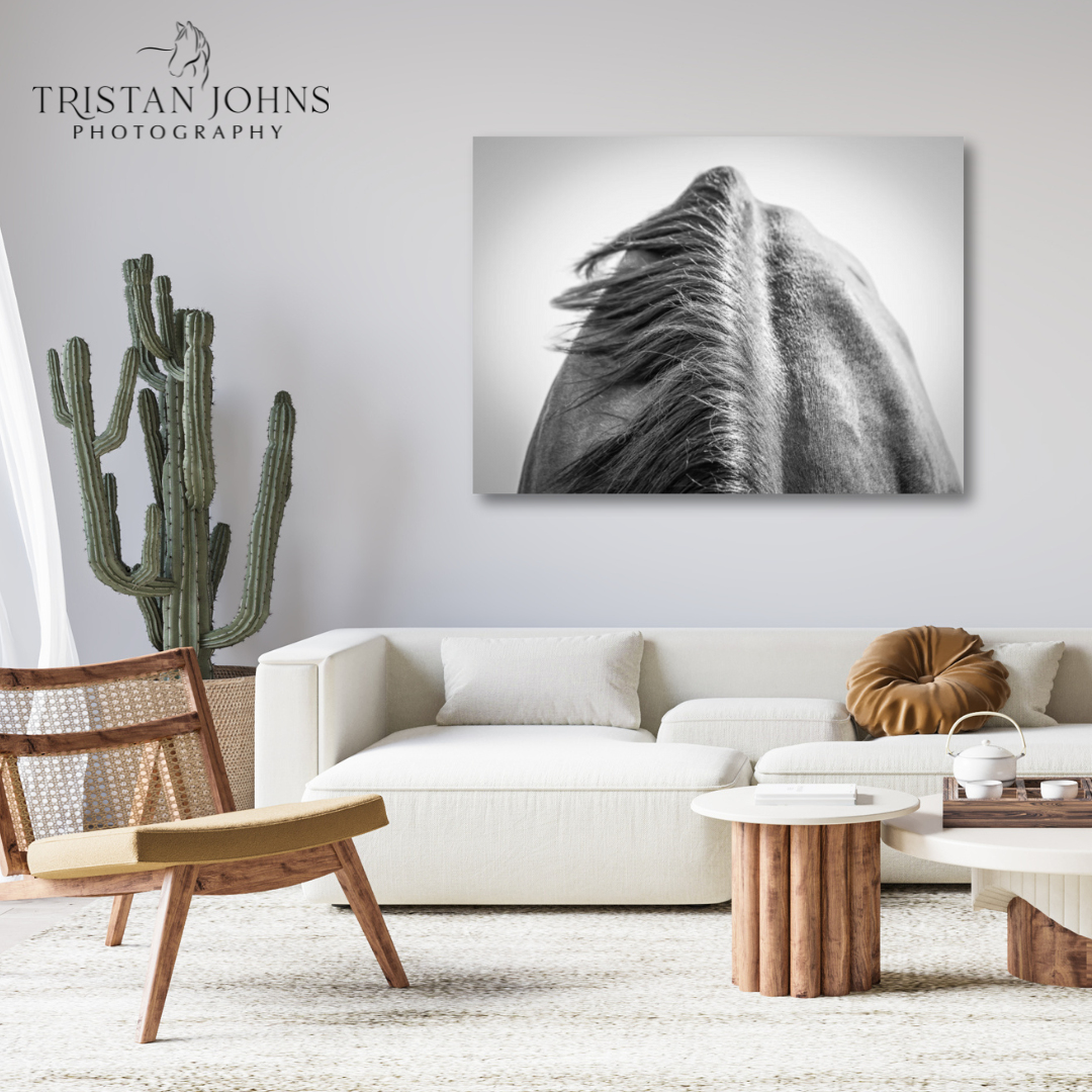 Withers I (16x24in) - Premium Metal Wall Art Print (50% Off!)