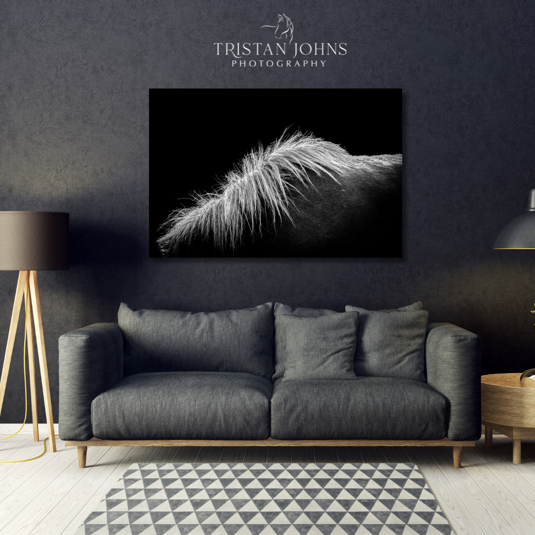 Withers II (16x24in) - Premium Metal Wall Art Print (50% Off!)